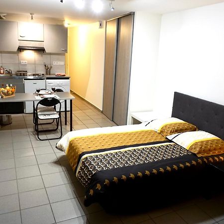 Charmant Studio Centre Ville Le Puy-en-Velay Kültér fotó